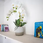 Claras Gartenblick شفيرين